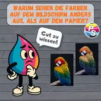 Warum sehen die Farben auf dem Bildschirm anders aus, als auf dem Papier?